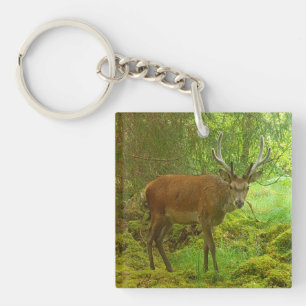 Porte-clefs Alerte Cerf Élan Faune Nature Écosse