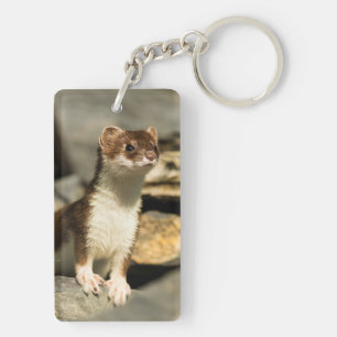 Porte-clefs Alerte Weasel
