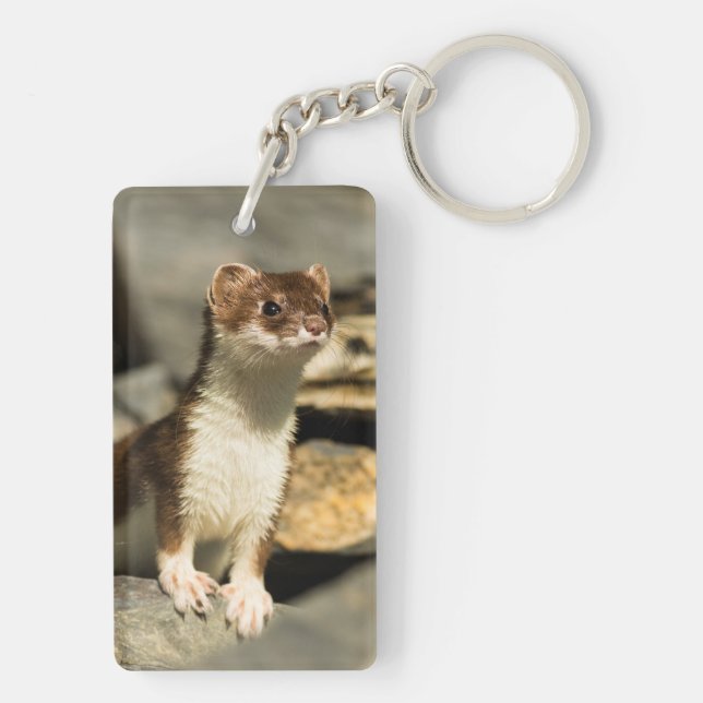 Porte-clefs Alerte Weasel (Dos)