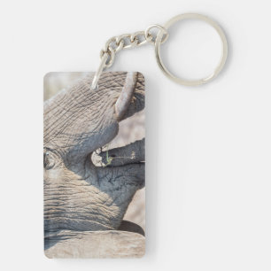 Porte-clefs Alimentation des éléphants