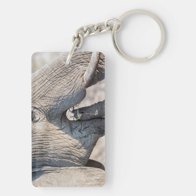 Porte-clefs Alimentation des éléphants (Dos)