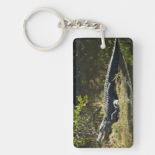 Porte-clefs Alligator américain sur une rive herbeuse de Flori (Devant)