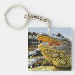 Porte-clefs Alligator. Face à face