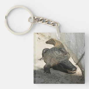 Porte-clefs Alligator, Fort Lauderdale, Floride