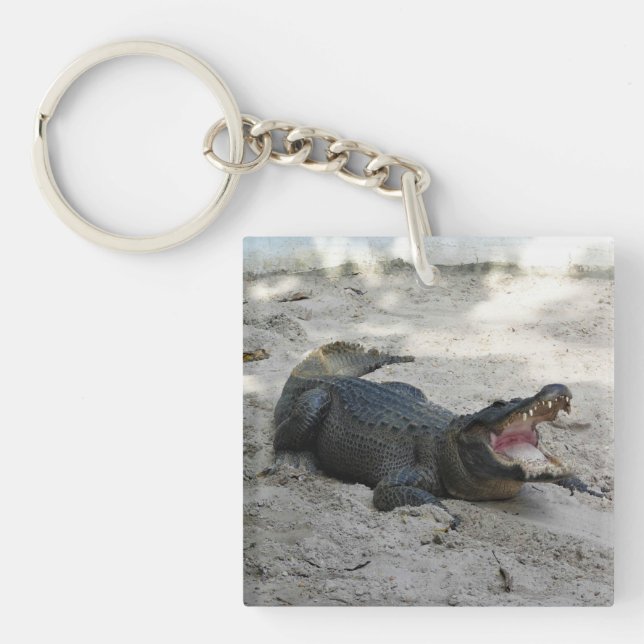Porte-clefs Alligator, Fort Lauderdale, Floride (Devant)