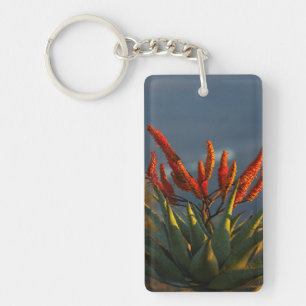 Porte-clefs Aloès des montagnes (Aloe Marlothii Berger)