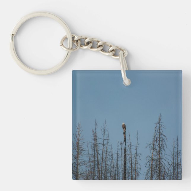 Porte-clefs American Bald Eagle 8974 (Devant)