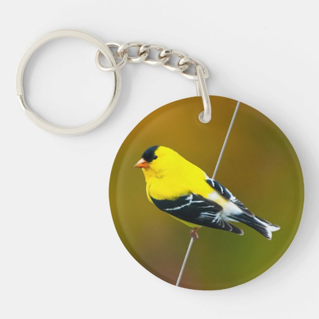 Porte-clefs American Goldfinch - Photo originale (Devant)