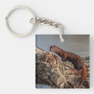 Porte-clefs American Mink