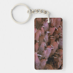 Porte-clefs Amérique du Nord, États-Unis, Alaska, Yukon Delta