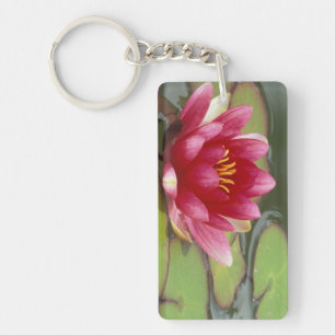 Porte-clefs Amérique du Nord, États-Unis, WA, Seattle, Woodlan