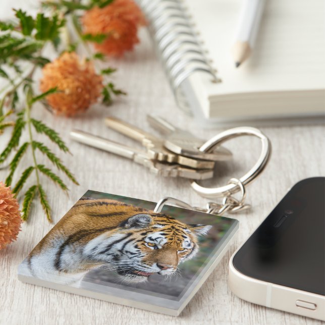 Porte-clefs Amur tiger (Devant Droit)