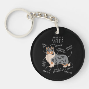 Porte-clefs Anatomie du Berger des Shetland Blue Merle Sheltie