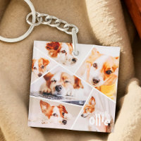 Animaux de compagnie Moderne Simple Personnalisé 6
