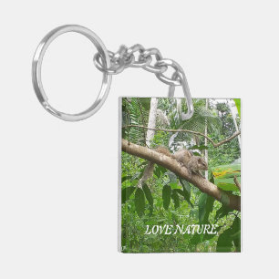 Porte-clefs Animaux naturels Porte - clés acryliques