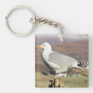 Porte-clefs Anneau de clés Mouette Élégante Unique Debout Déta