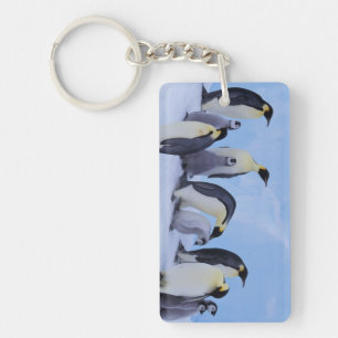 Porte-clefs Antarctique, Emporer Penguins