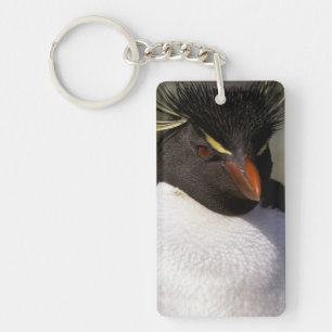 Porte-clefs Antarctique, îles subantarctiques, Sud 5