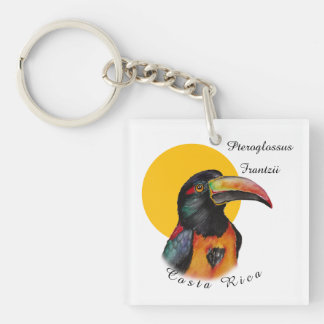 Porte-clefs Aquarelle toucan