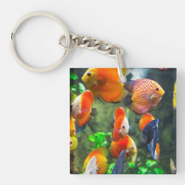 Porte-clefs Aquarium Réservoir à poisson à thème (Devant)