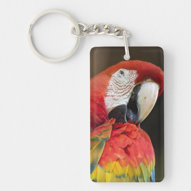 Porte-clefs Ara (Devant)