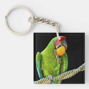 Porte-clefs Ara Militaris Perroquet Vert