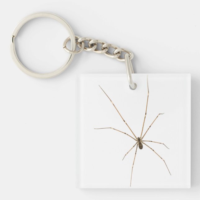 Porte-clefs Araignée (Devant)
