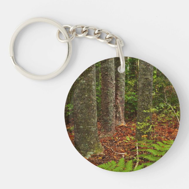 Porte-clefs Arbres Kuri | Nouvelle-Zélande (Devant)