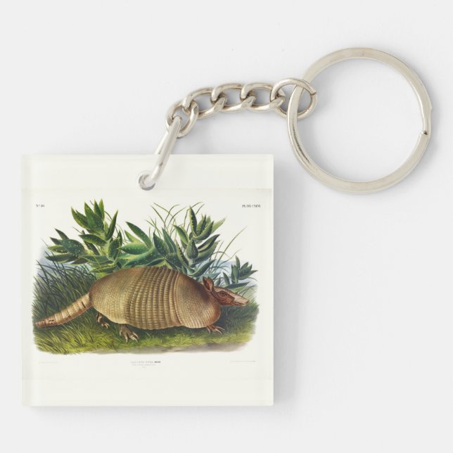 Porte-clefs Armadillo à nez long, à neuf bandes, par Audubon (Dos)