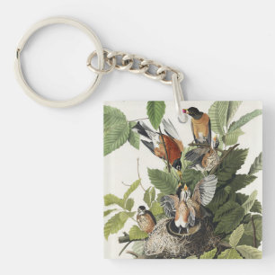 Porte-clefs Art ancien nid d'oiseau Merle d'Amérique d'Audubon