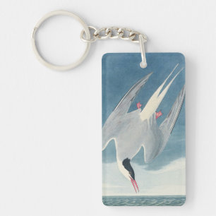 Porte-clefs Art côtier vintage de la sterne arctique d'Audubon