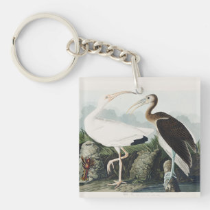 Porte-clefs Art de la nature de l'oiseau Ibis blanc d'Audubon 