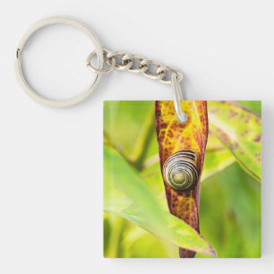 Porte-clefs attachement calme
