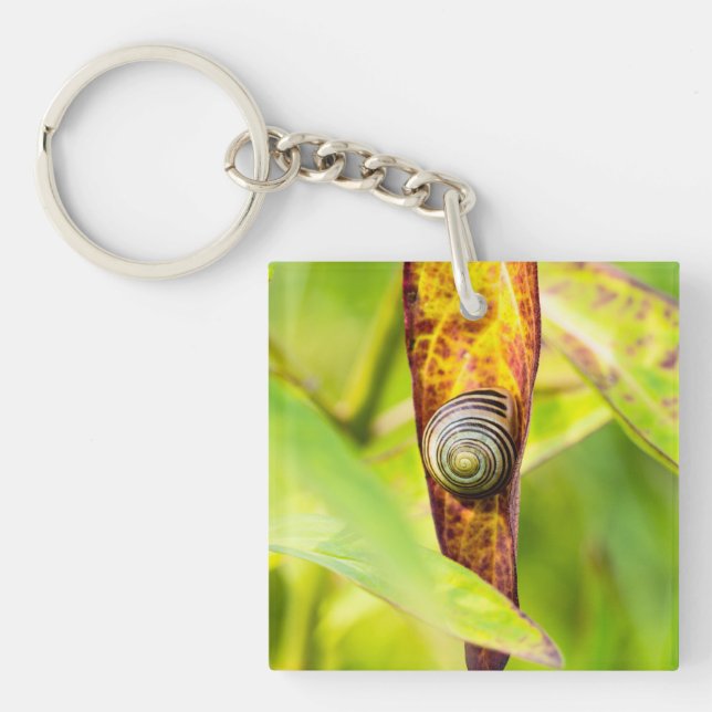 Porte-clefs attachement calme (Devant)