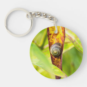 Porte-clefs attachement calme