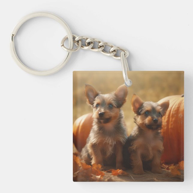 Porte-clefs Australien Terrier Chiot Automne Citrouille de pla (Devant)