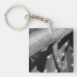 Porte-clefs B&W - Spider 02