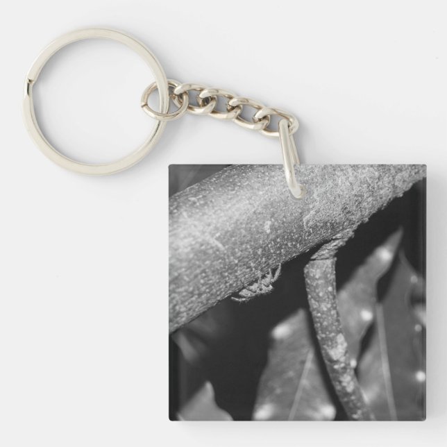 Porte-clefs B&W - Spider 02 (Devant)