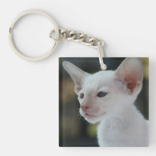 Porte-clefs Baby Siamese Kitty