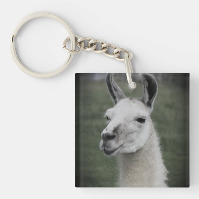 Porte-clefs Badge Llama (Devant)