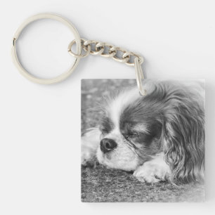 Porte-clefs Bague de clé acrylique Sleepy Dog
