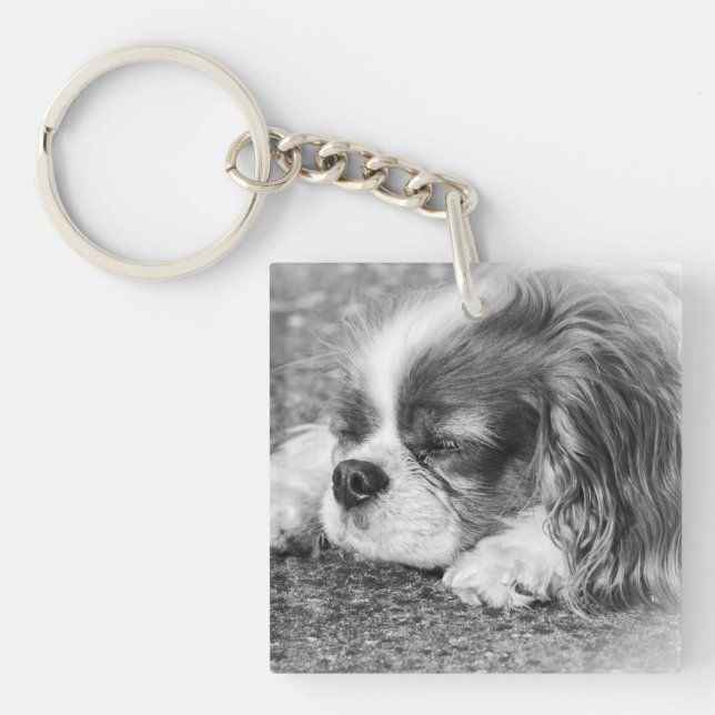Porte-clefs Bague de clé acrylique Sleepy Dog (Devant)
