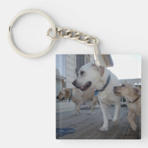 Porte-clefs Baisers de chiot : Crème Couleur Labrador Amour de