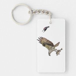 Porte-clefs Balbuzard pêché par un oiseau-noir à ailes rouges