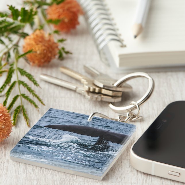 Porte-clefs Baleine de Sperm (Devant Droit)