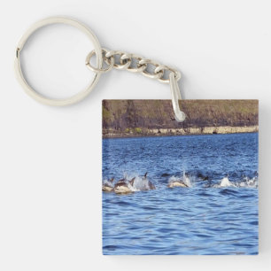 Porte-clefs Banc de dauphins communs nageant en surface Océan 