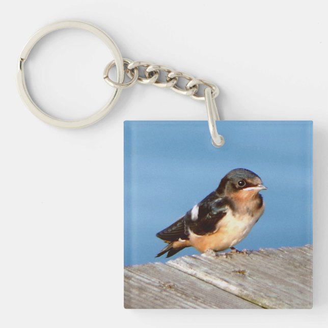 Porte-clefs Barn Swallow clé acrylique chian (Devant)