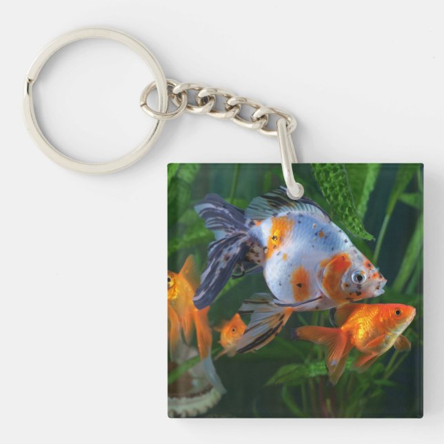 Porte-clefs Beau Aquarium Fish Tank (Devant)