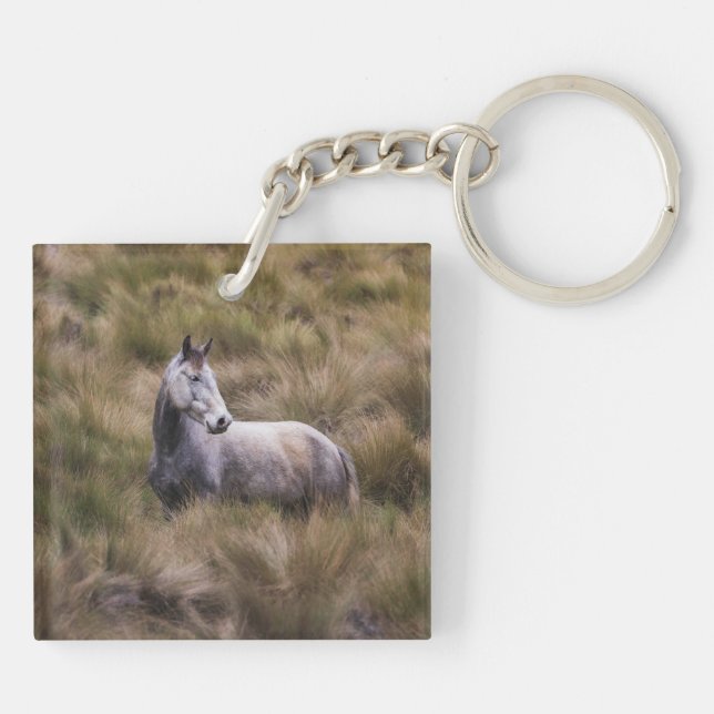 Porte-clefs Beau Cheval gris coloré (Dos)