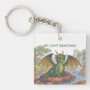 Porte-clefs Beau petit dragon vert